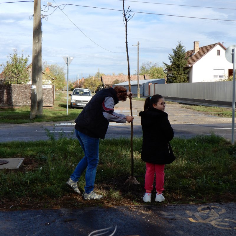 Közösségi faültetés Berettyóújfaluban 05